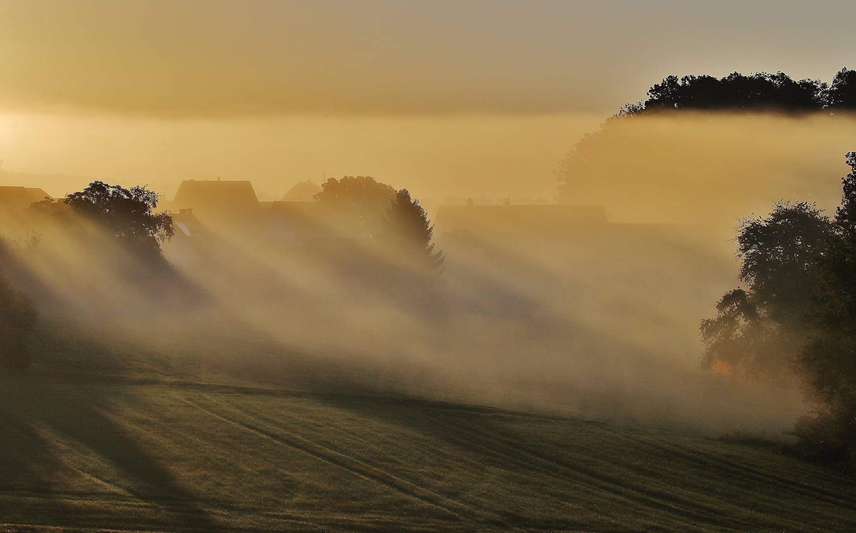 Typisch Herbst/ 2