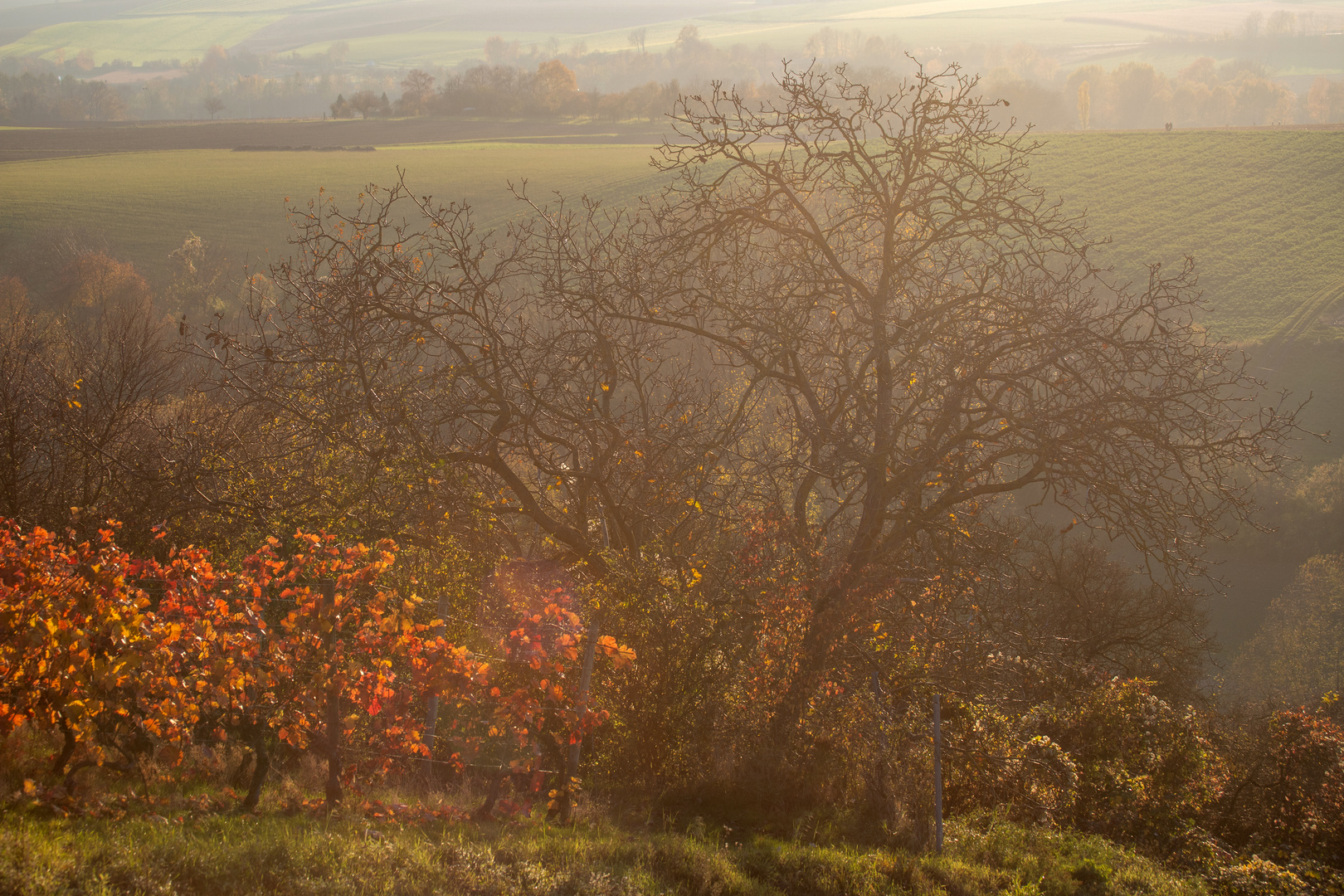 Typisch Herbst