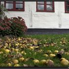 Typisch Herbst....