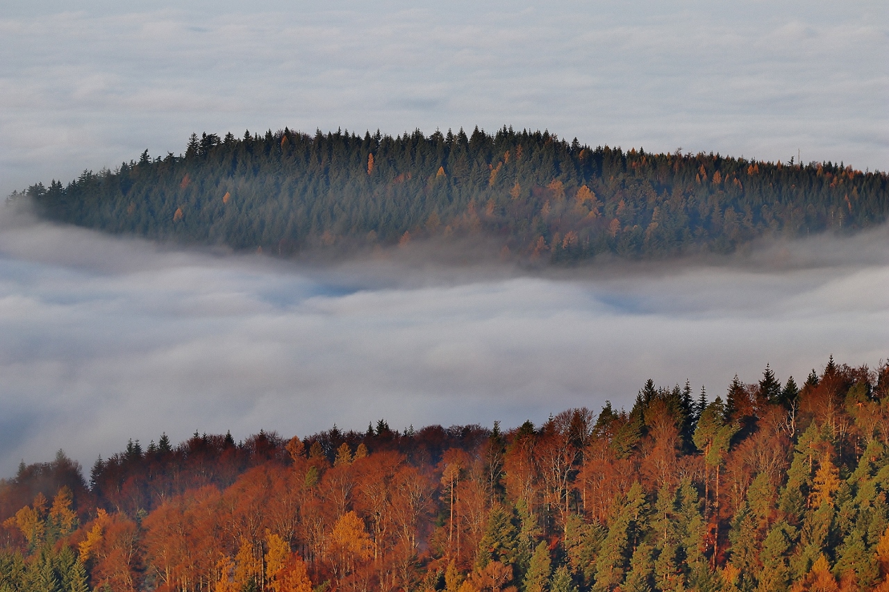 Typisch Herbst...