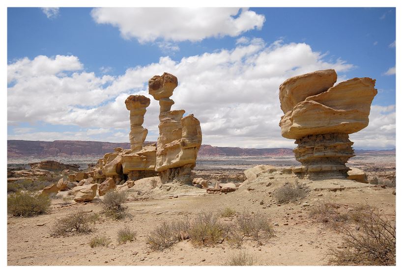 Typisch Ischigualasto