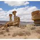 Typisch Ischigualasto