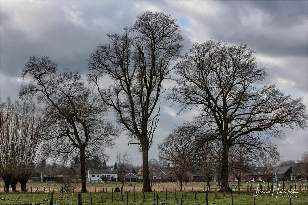 Typisch .... linker Niederrhein 