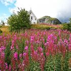 Typisch Lofoten