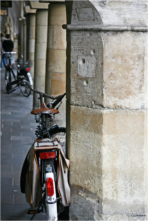 Typisch Münster