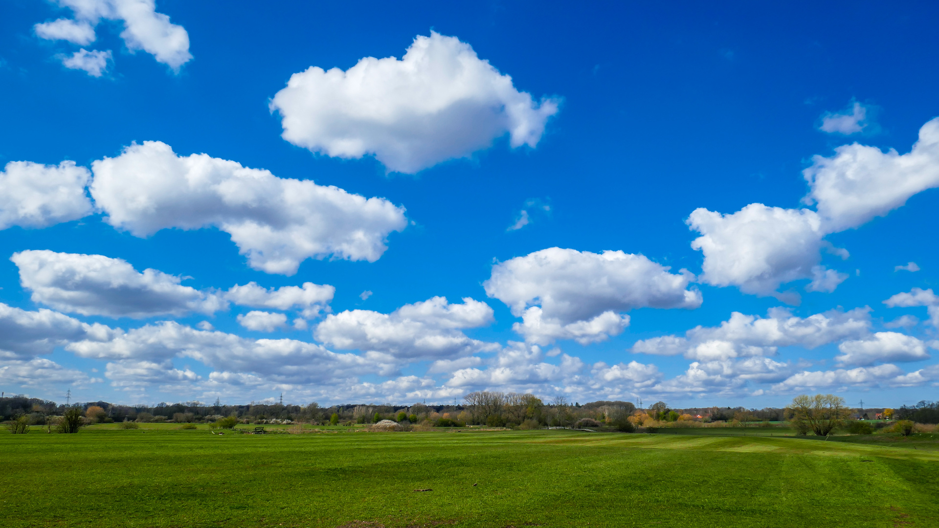 Typisch Münsterland