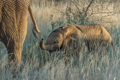 Typisch Namibia