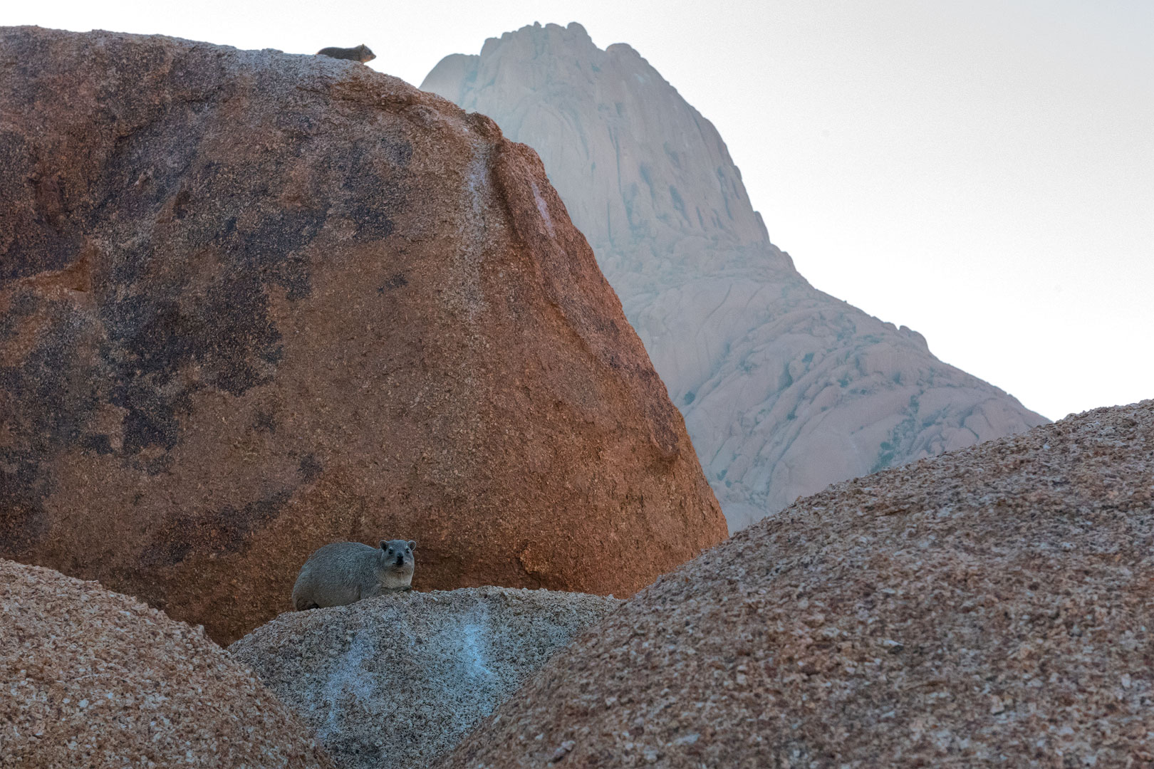 Typisch Namibia