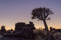 Typisch Namibia