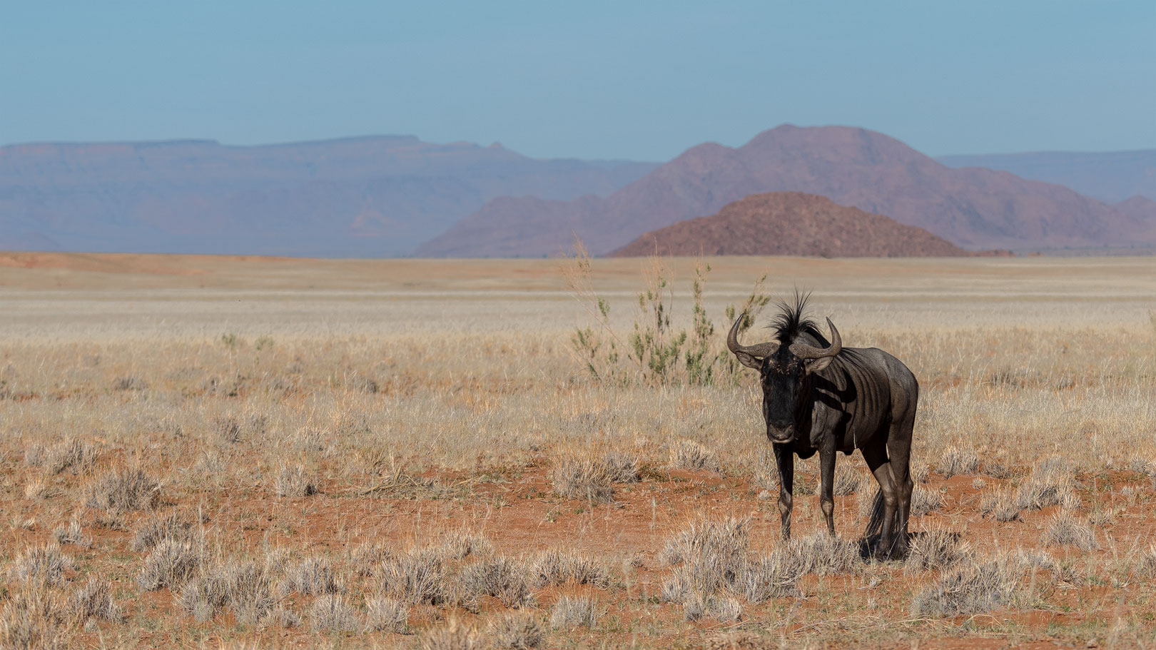 Typisch Namibia