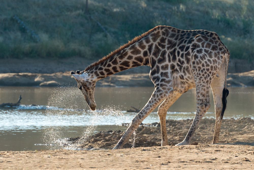 Typisch Namibia