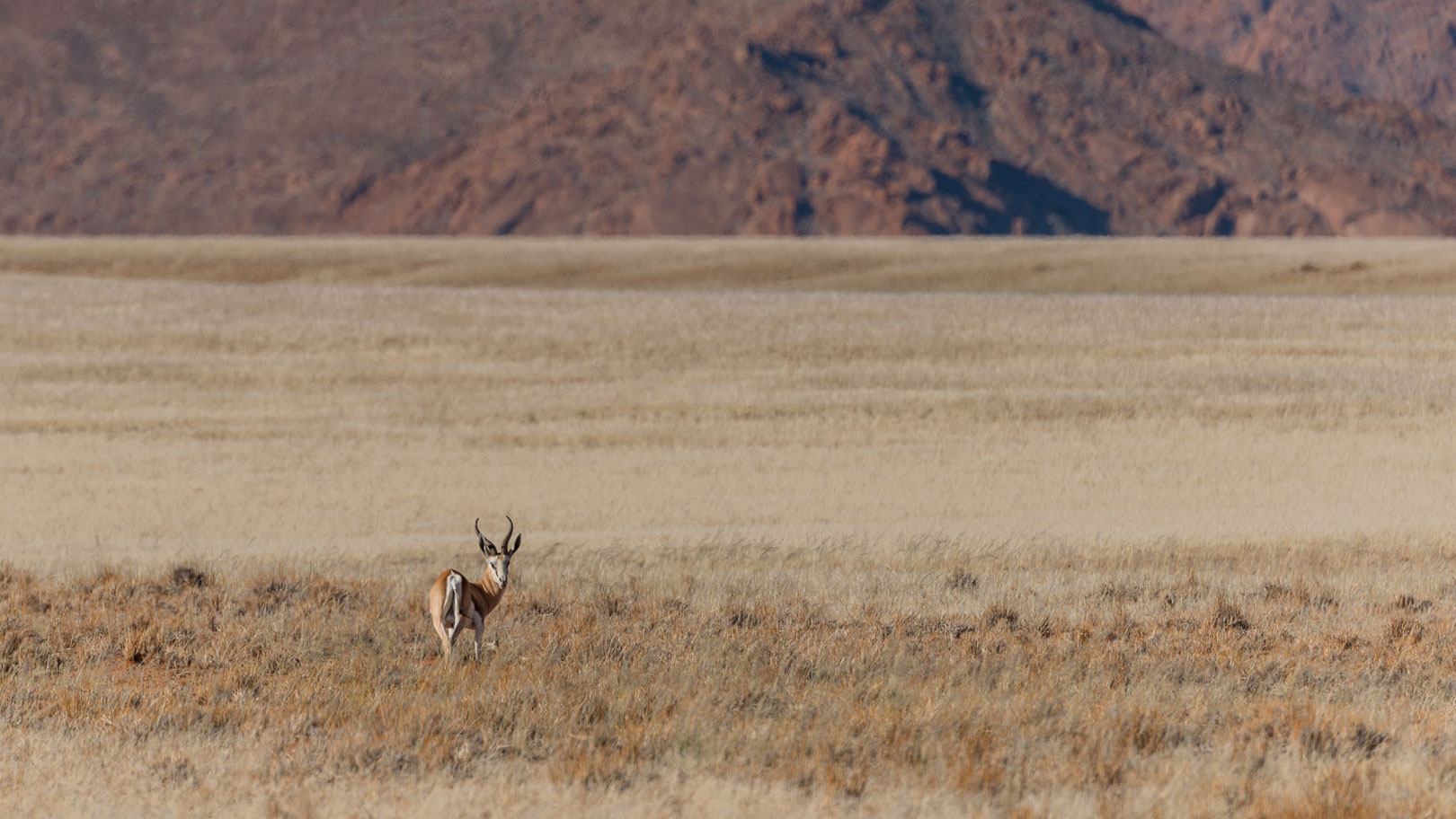 Typisch Namibia