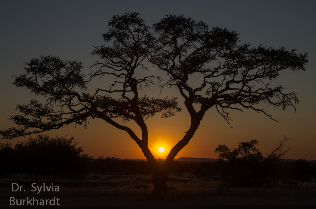 Typisch Namibia