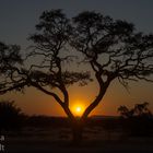 Typisch Namibia