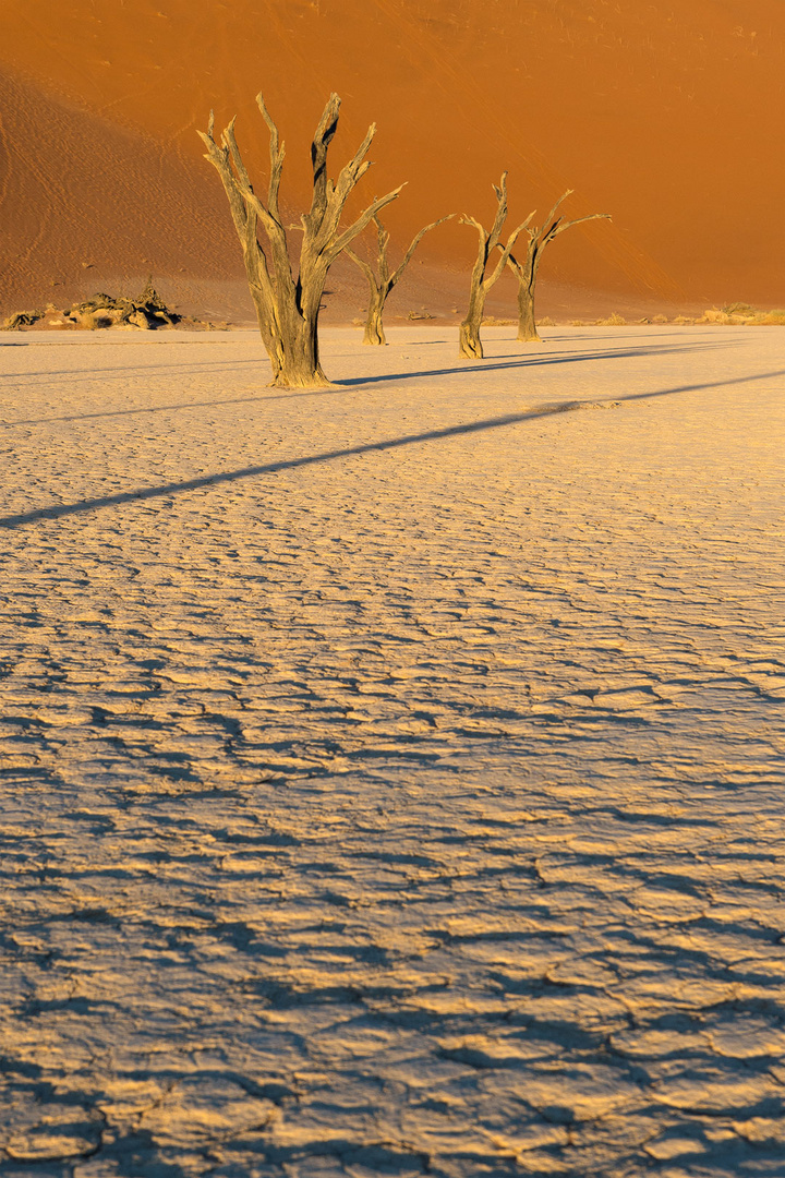 Typisch Namibia