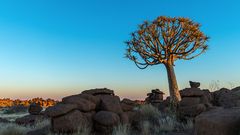 Typisch Namibia