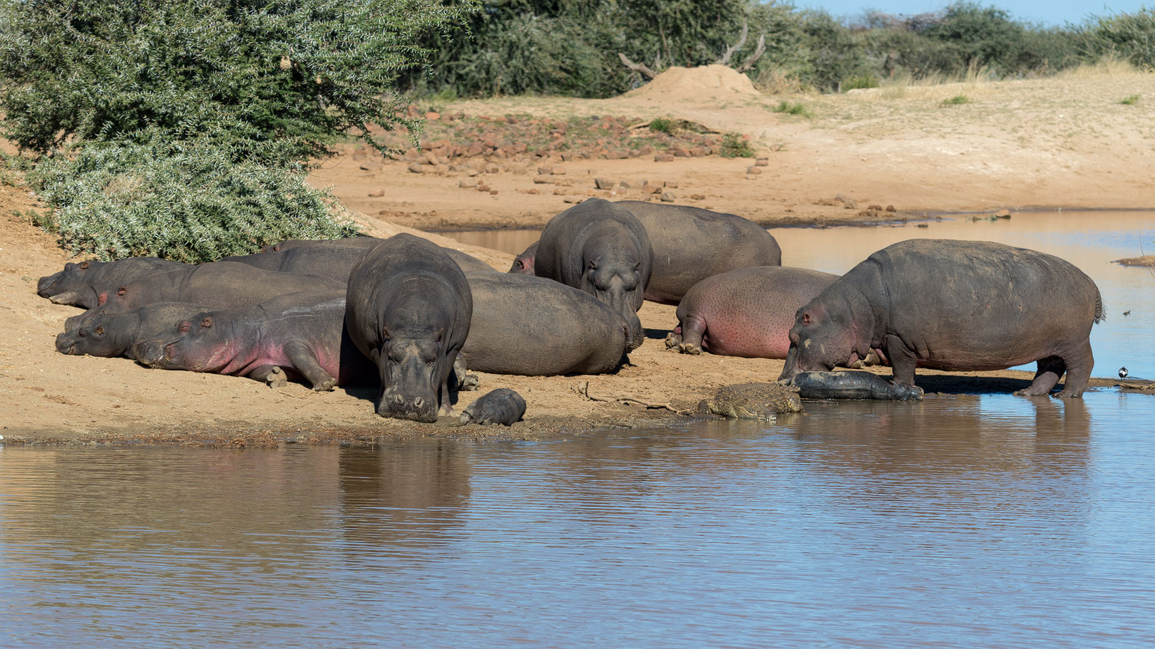 Typisch Namibia