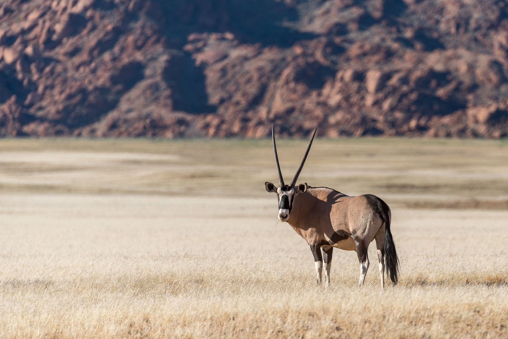 Typisch Namibia