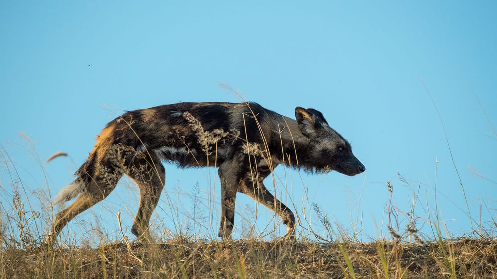 Typisch Namibia