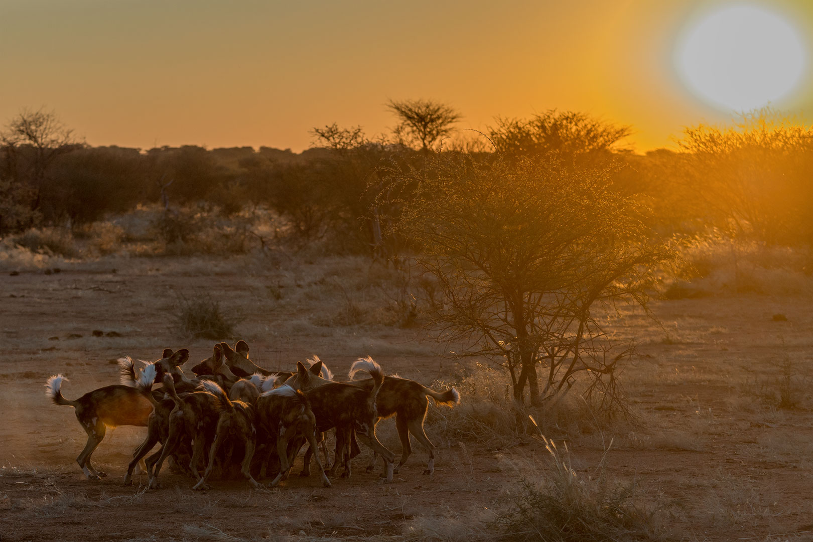 Typisch Namibia