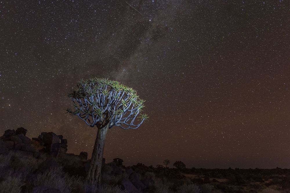 Typisch Namibia