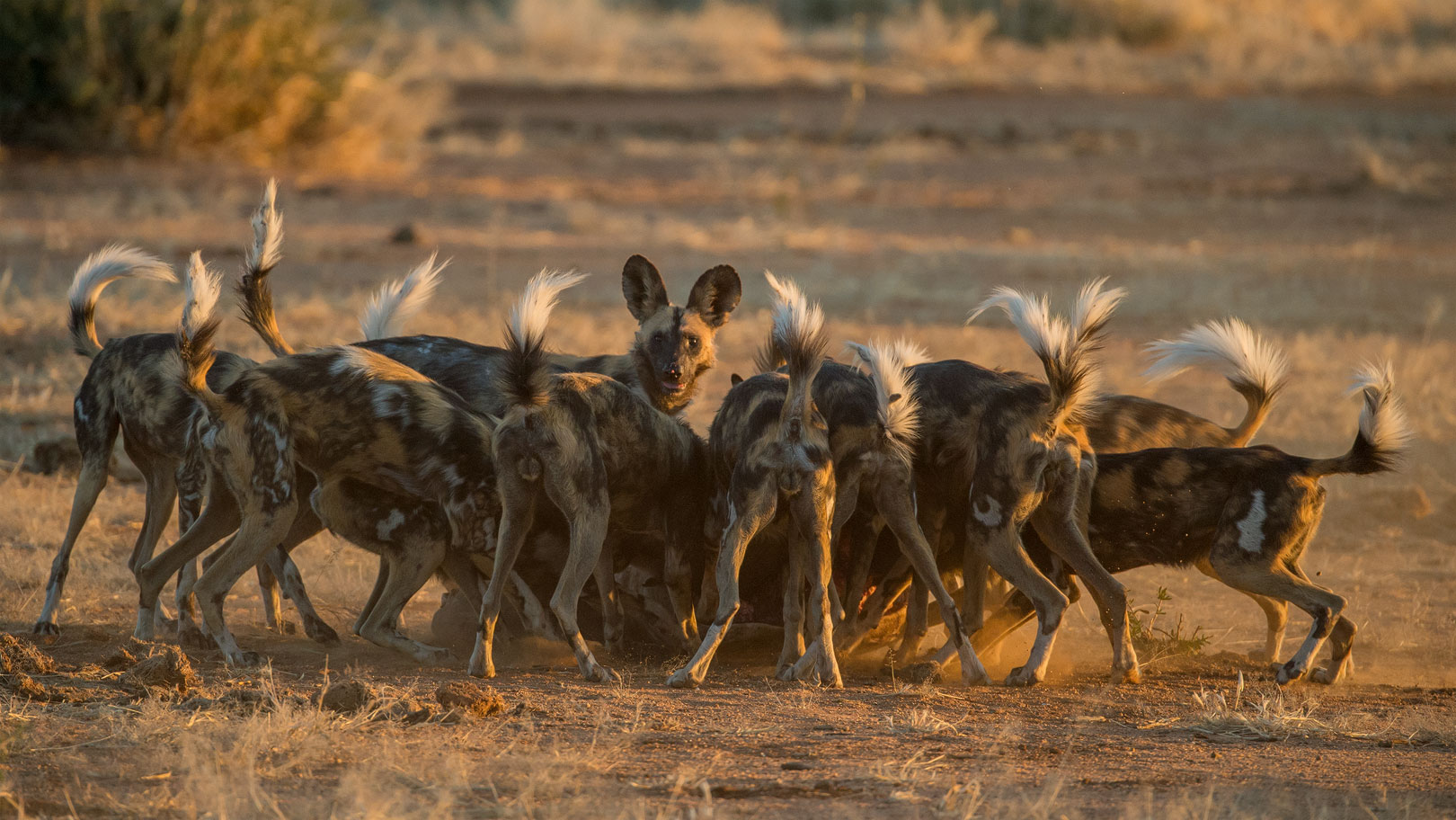 Typisch Namibia