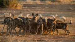 Typisch Namibia