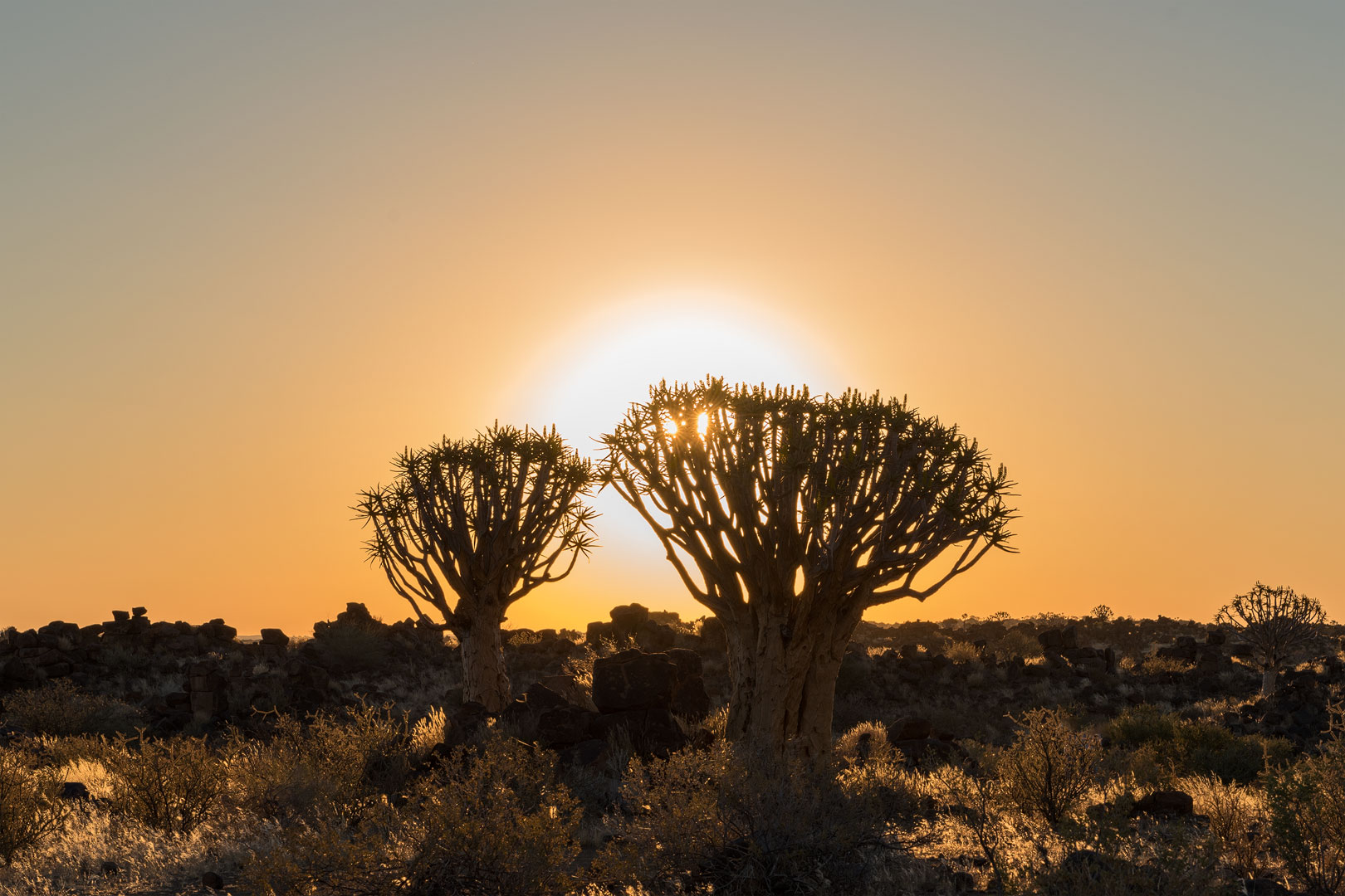 Typisch Namibia