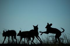 Typisch Namibia