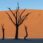 Typisch Namibia