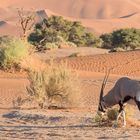 Typisch Namibia