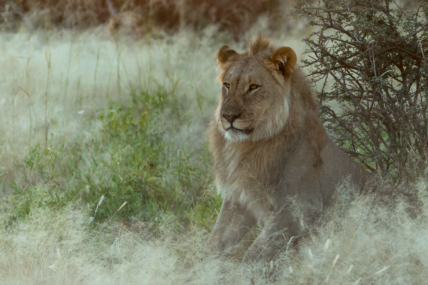 Typisch Namibia