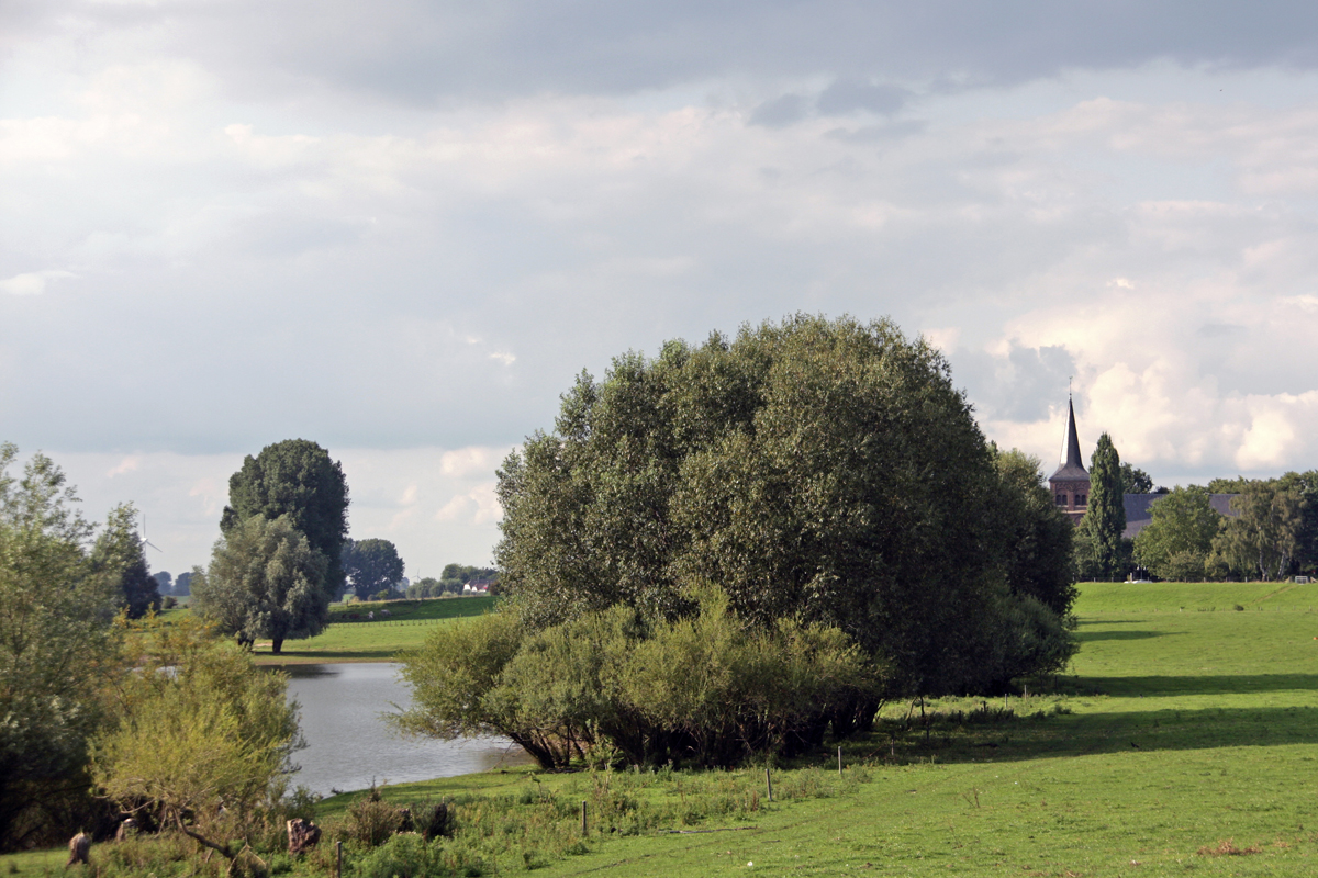 Typisch Niederrhein 2