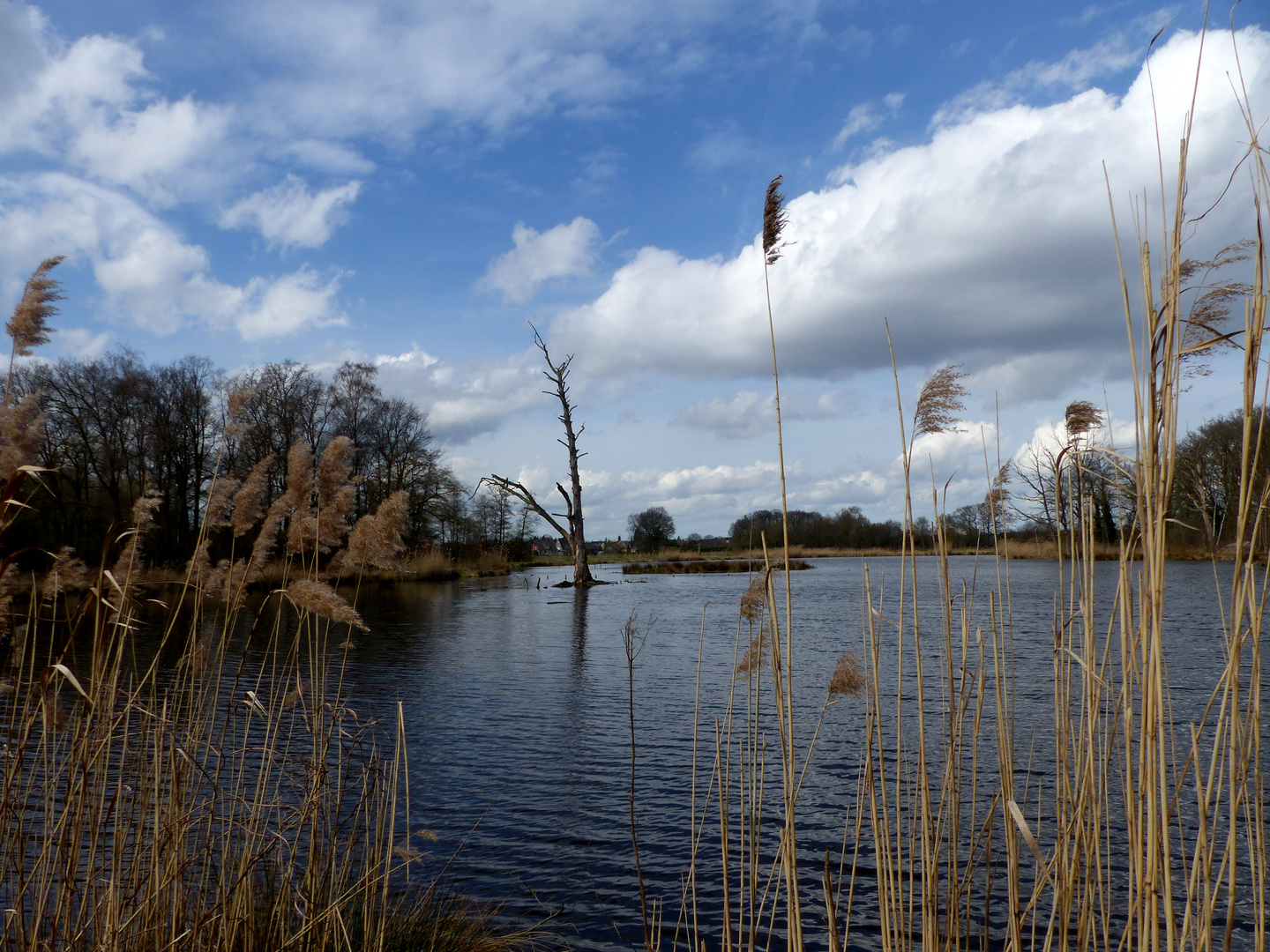 Typisch Niederrhein 3