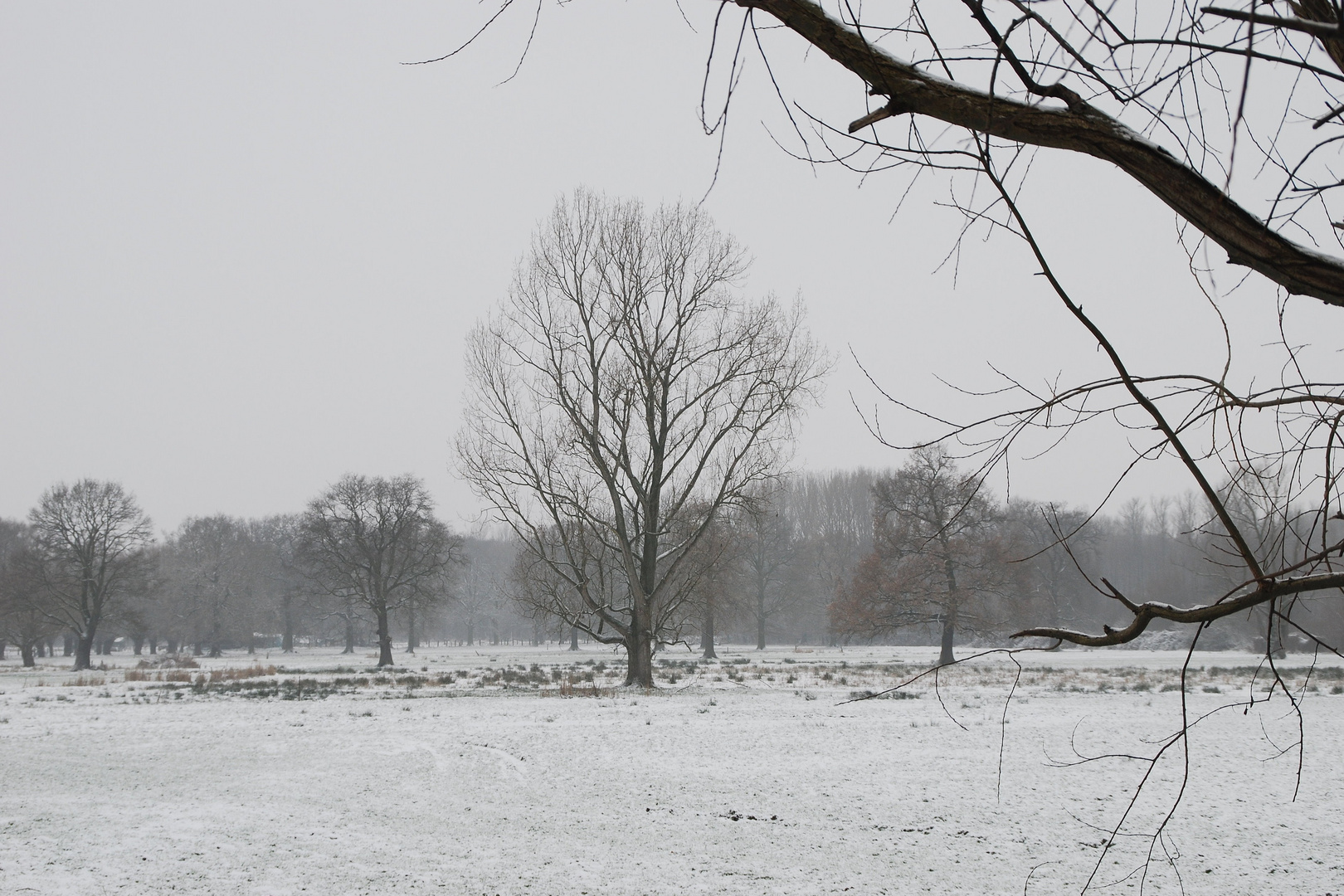 Typisch Niederrhein