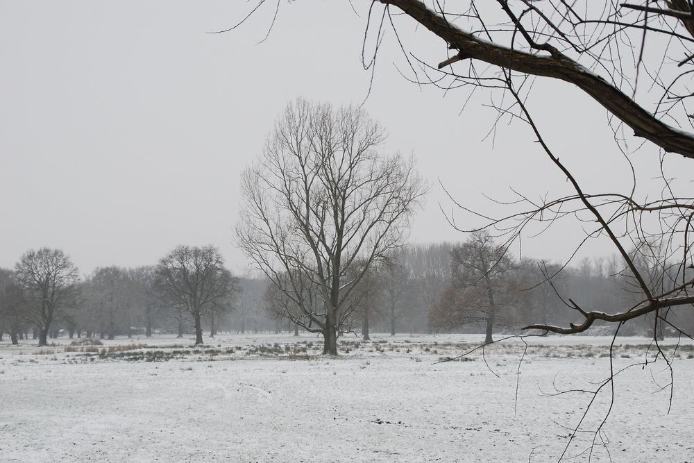 Typisch Niederrhein