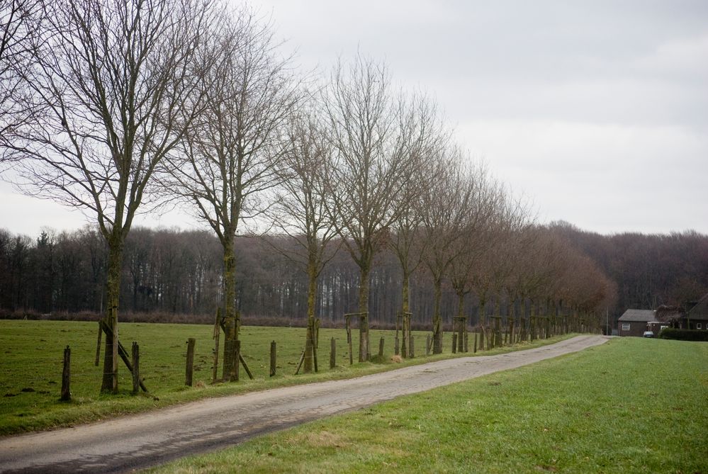 Typisch Niederrhein von doggenlady 