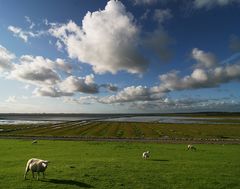 Typisch Nordfriesland!