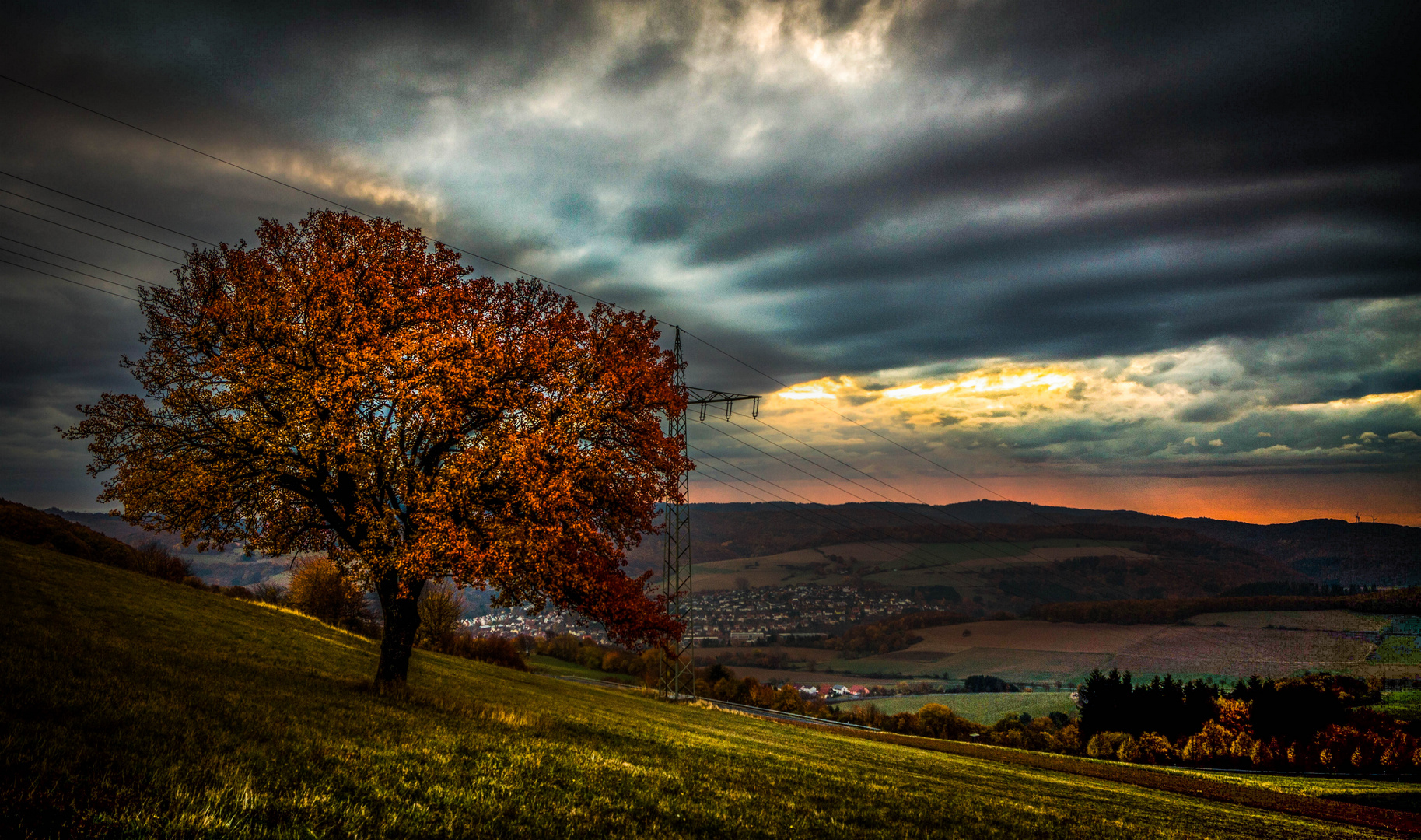  "Typisch Nordpfalz, Herbst- Fest der Farben" 