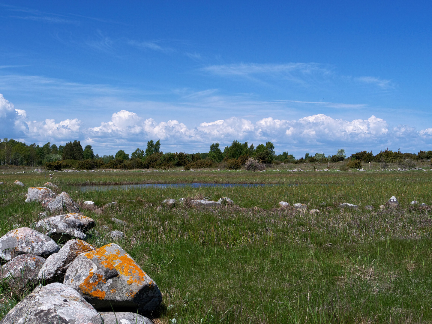 typisch Öland