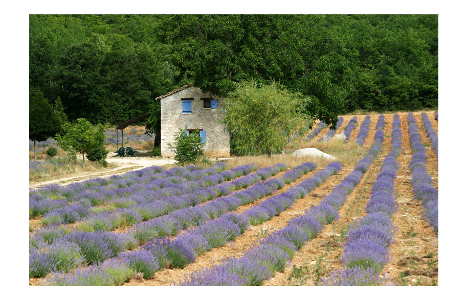 Typisch Provence