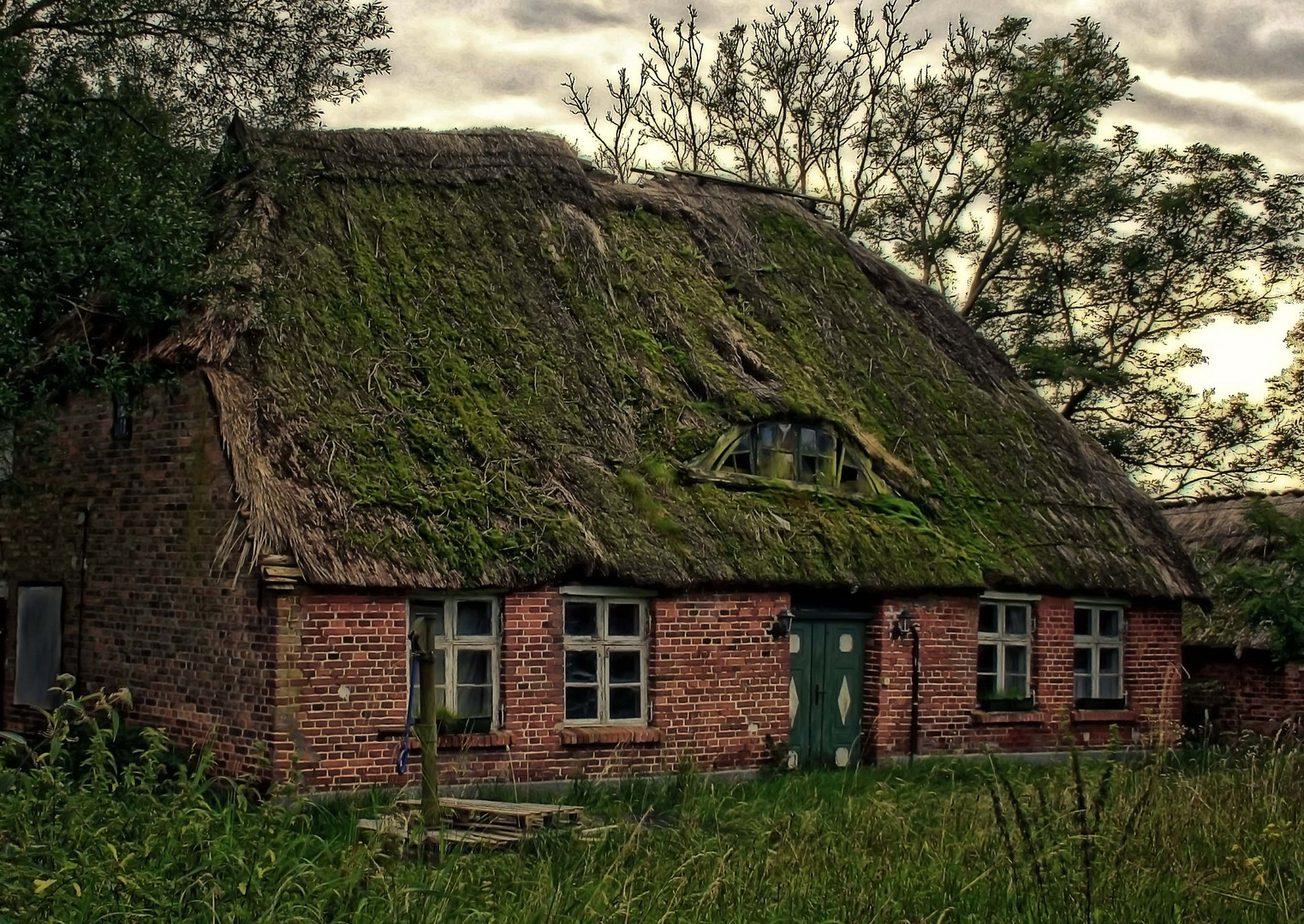 typisch Rügen - Reet-Dächer