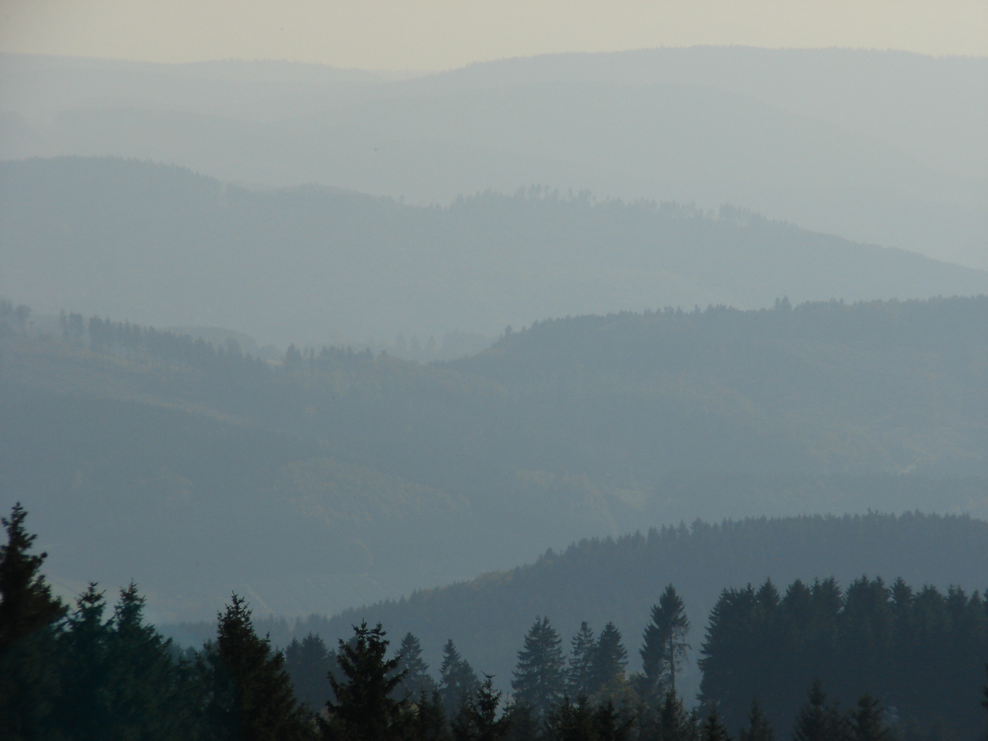 Typisch Sauerland - Wilde Wiese im Herbst