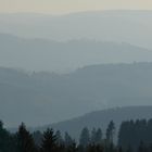 Typisch Sauerland - Wilde Wiese im Herbst