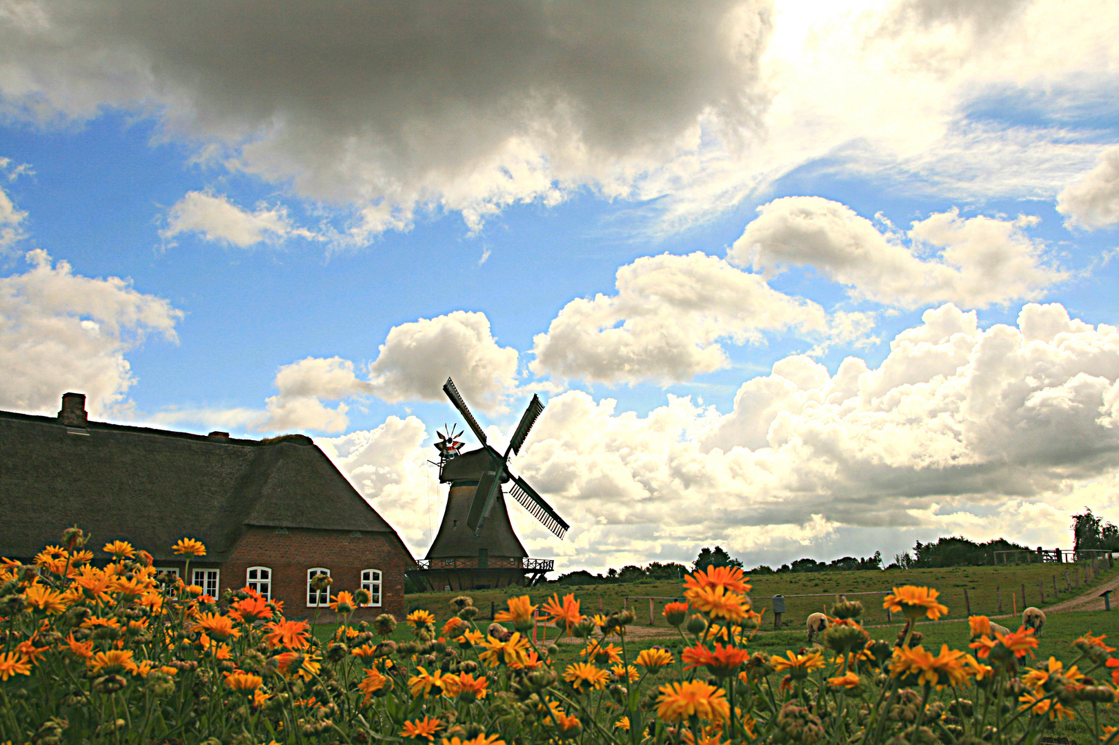 typisch - Schleswig-Holstein