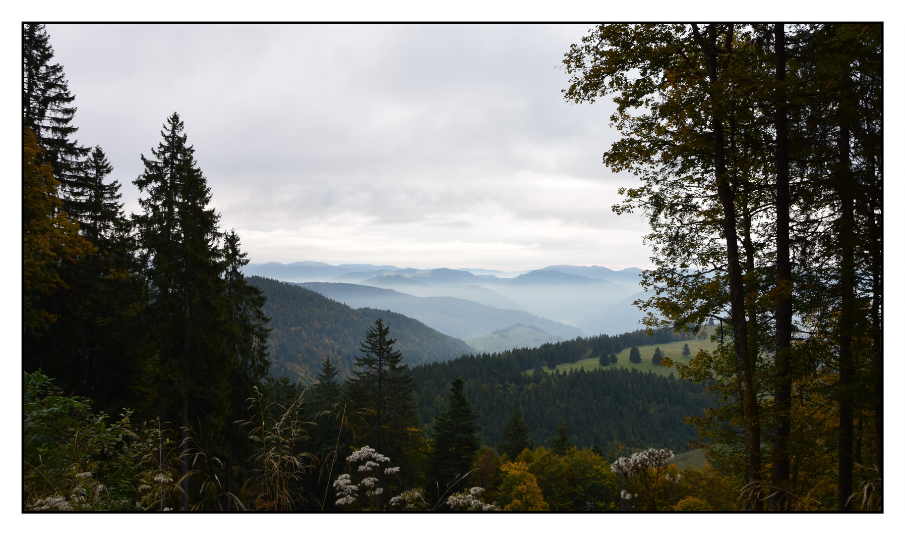 Typisch Schwarzwald