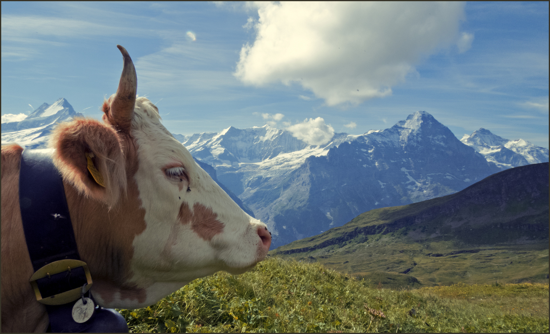 Typisch Schweiz