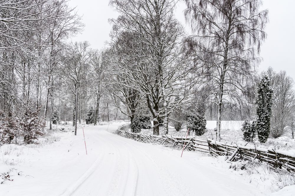 Typisch Småland