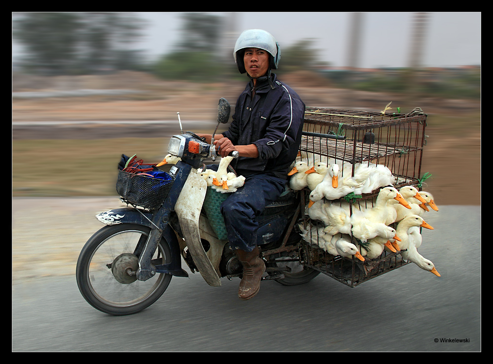 Typisch Vietnam