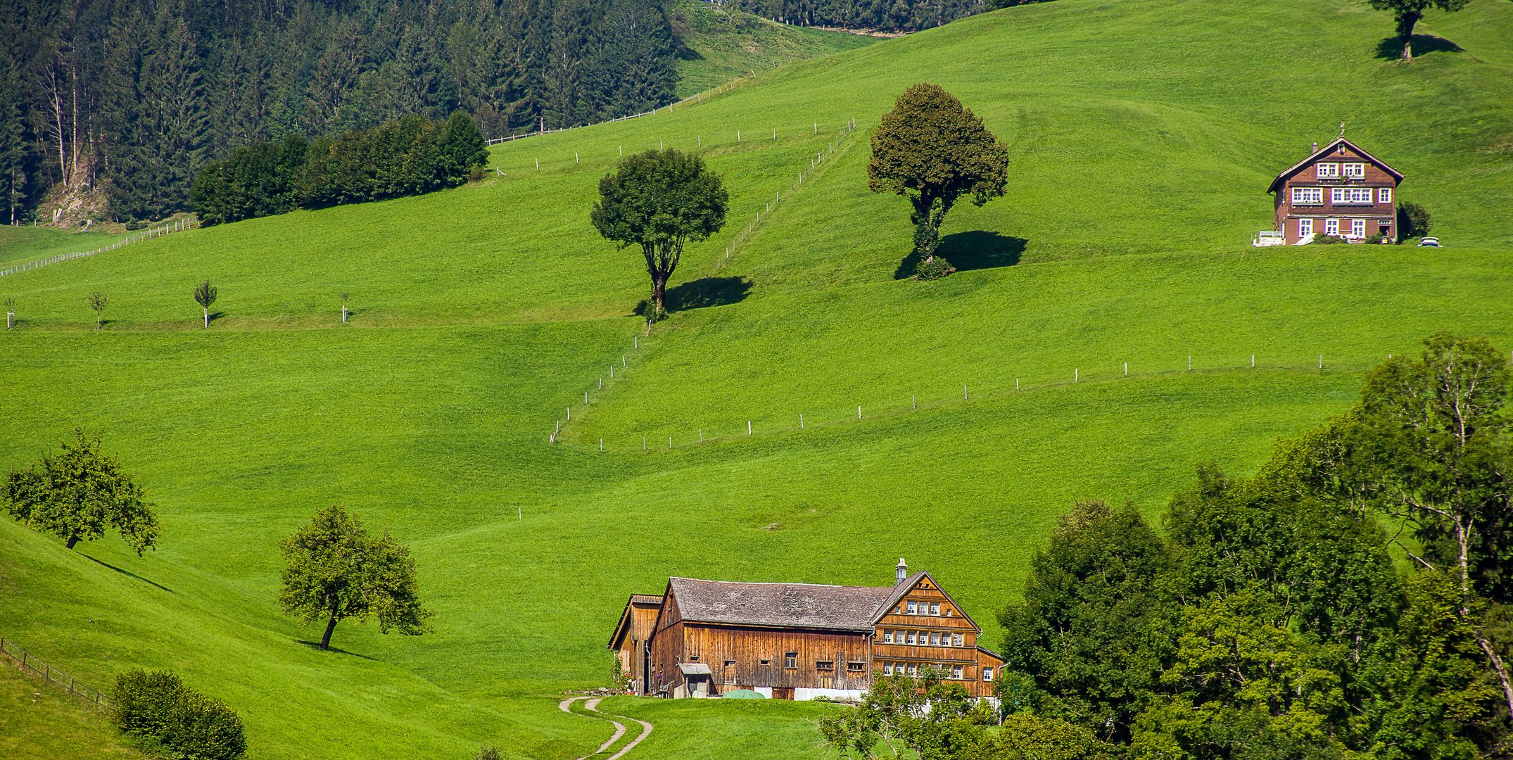  Typische Appenzellerlandschaft